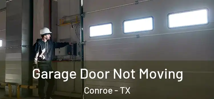  Garage Door Not Moving Conroe - TX