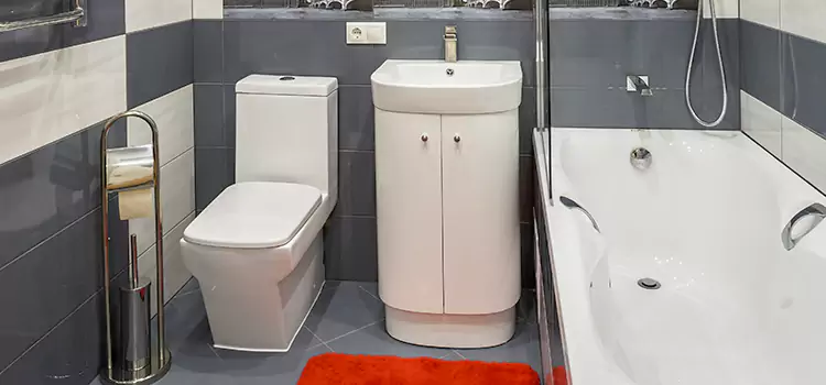 Hansgrohe Shaving Mirror Conroe