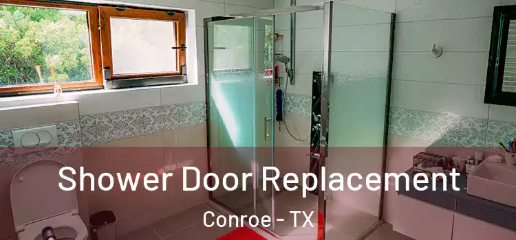 Shower Door Replacement Conroe - TX